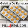 Kamagra Jelly levitra2